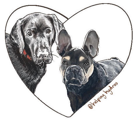 Best Friends Pug & Lab Sticker