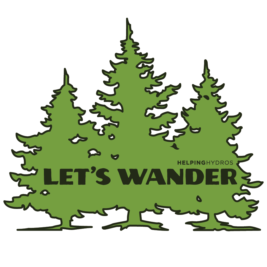 Let's Wander Pine Tree Sticker