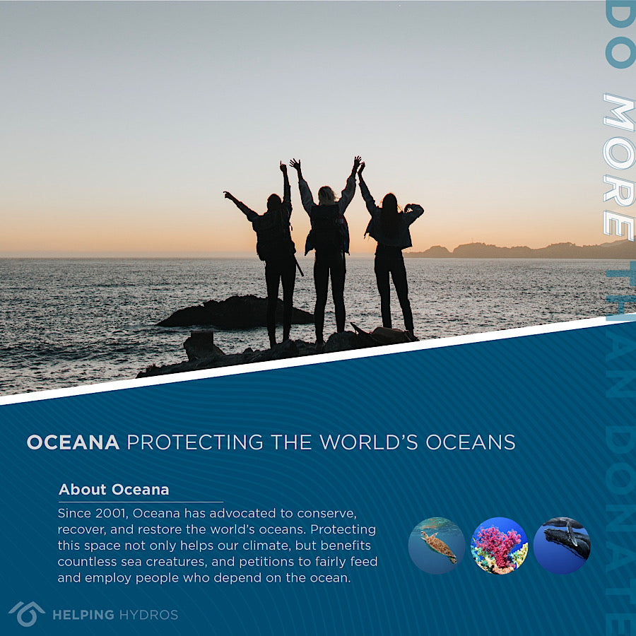 Oceans Bottle - Support Oceana